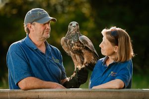 Steve Cross, Paco the Chilean Blue Eagle and Lisa Scattergood