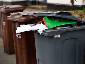 Supporting image for story: Stafford council urged to cancel £36 brown bin collection charge