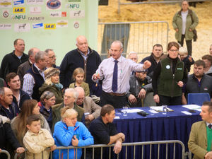 Supporting image for story: English Winter Fair cancelled due to 'virus' 