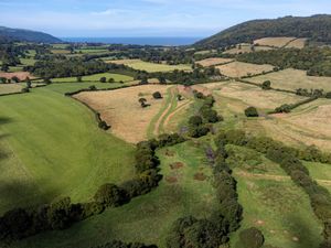 Supporting image for story: National Trust to cut 550 staff in bid to slash wage bill following tax hikes