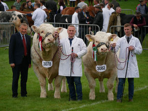 Supporting image for story: Best of Welsh and British on display as the 102nd Royal Welsh Show gets underway