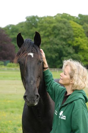 The actress is also a founder of the Mane Chance Horse sanctuary in Surrey