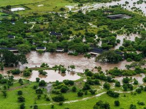 Supporting image for story: Tourists evacuated from Kenya’s Maasai Mara reserve amid flooding and heavy rain