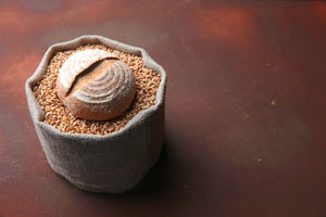 Bread from freshly milled grains