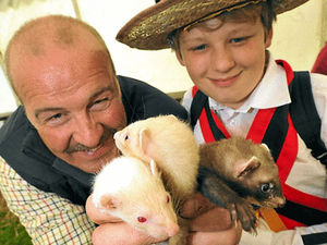 Supporting image for story: Staffordshire County Show visitors down by 12,000