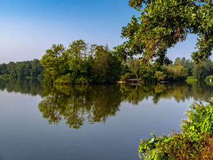 Supporting image for story: Police swoop on park to arrest man after sexual assault report