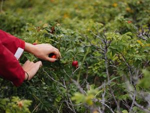 Supporting image for story: Mark Andrews on Saturday: Rich pickings on the farm and one retailer we shouldn't mourn