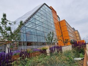 Supporting image for story: Cash 'injection' for hospital art gallery