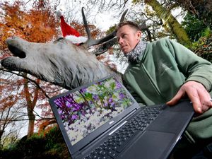 Supporting image for story: Green-fingered Salopians can plant winter magic