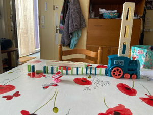 Rodolphe's Temu finds