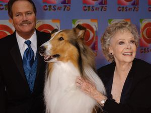 Supporting image for story: Lassie and Lost In Space star June Lockhart dies aged 100