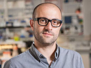 Supporting image for story: How plants close the door to pathogens