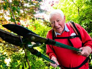 Supporting image for story: Rambling Ron steps down