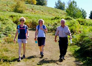 Walkers enjoyed the sunshine during the charity challenge.