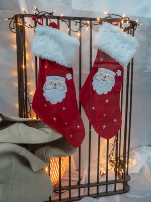 Credit: Ian Knight / Z70 Photography