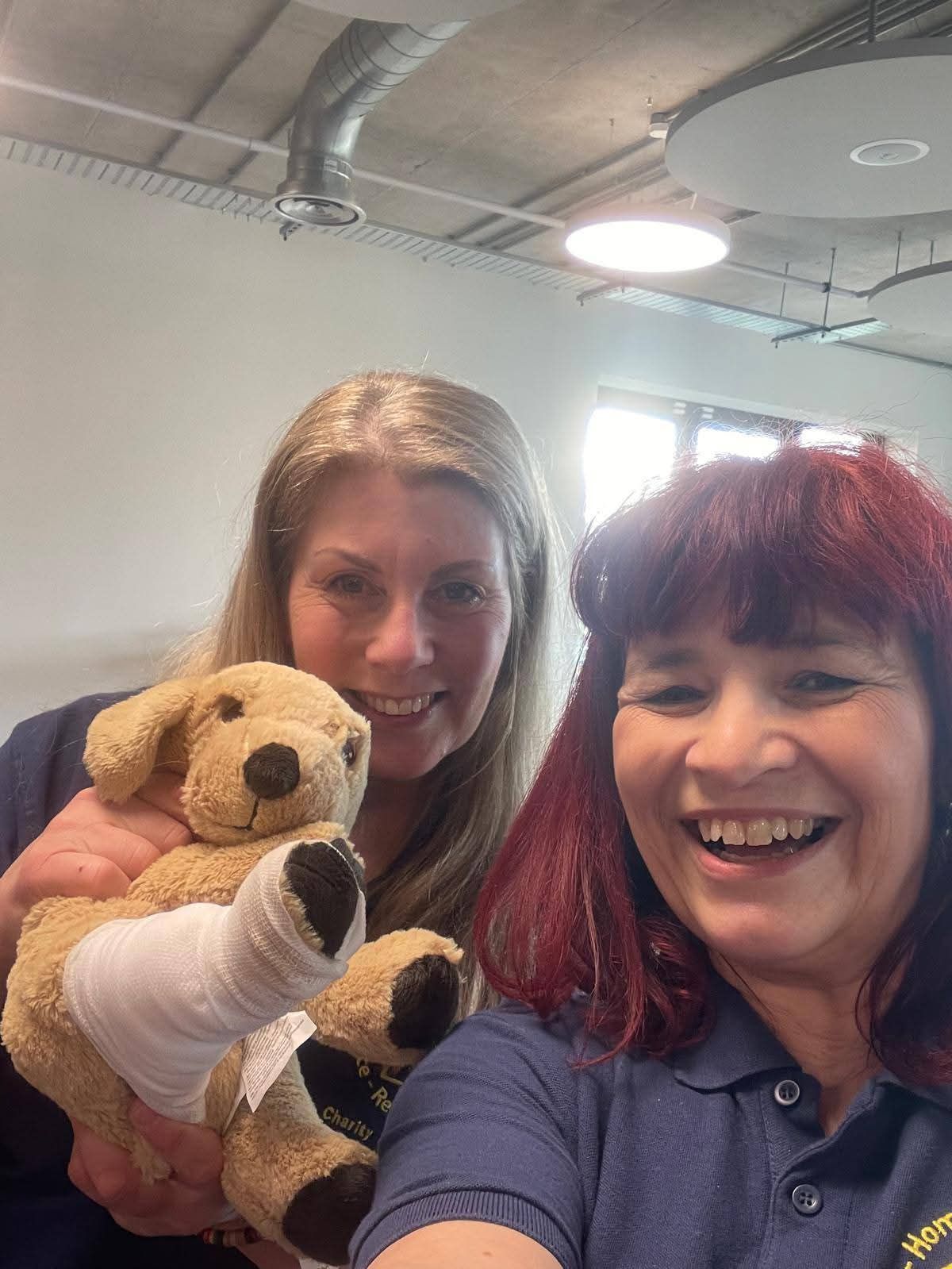 Canine first aid training strengthens welfare at Home Run Hounds Canine first aid training strengthens welfare at Home Run Hounds