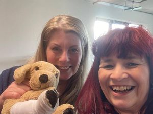 Supporting image for story: Canine first aid training strengthens welfare at Home Run Hounds