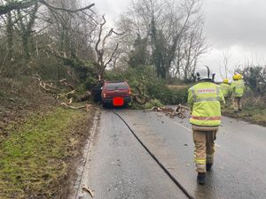 Supporting image for story: Three injured as tree blown onto car near Wolverhampton