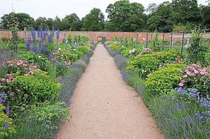 Flowers in the walled garden