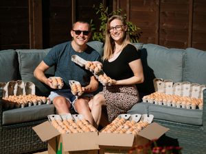 Supporting image for story: Lovebirds hatch plan to make eggstra cash