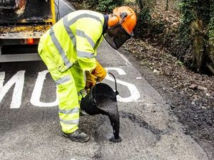 Supporting image for story: 'Excellent value': Roads consultant cost Shropshire Council almost £1,000 a day