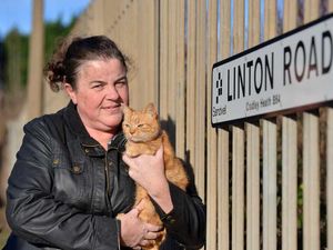 Supporting image for story: The mystery of the 'purr-muda triangle': 23 cats go missing from three Black Country streets