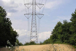 Supporting image for story: 11-page letter lists objections to pylon plans