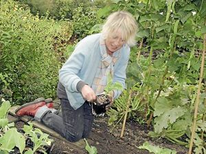 Supporting image for story: Peter Rhodes on spring, freedoms and the tricky task of keeping the King’s peace