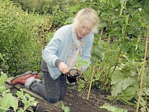 Supporting image for story: Peter Rhodes on spring, freedoms and the tricky task of keeping the King’s peace