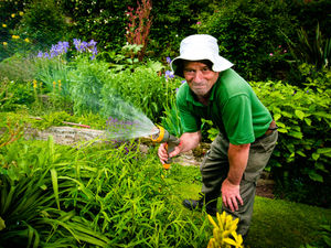 Supporting image for story: Market Drayton garden opens as part of National Garden Scheme 