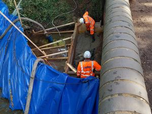 Supporting image for story: Stabilising bridge repairs completed before spawning season