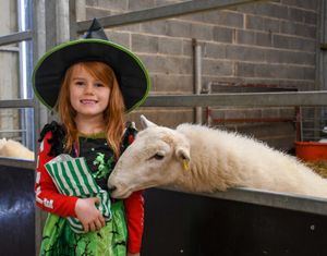 A little witch visiting the Halloween event. Photo: Park Hall Countryside Experience