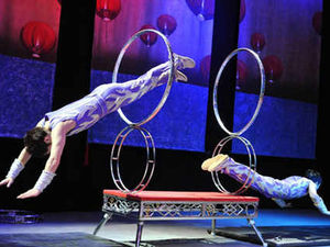 Supporting image for story: Poll: Should animals be banned from performing in the circus?