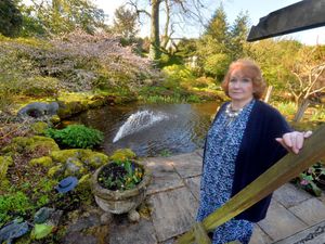 Supporting image for story: Colourful garden showing signs of Spring to open to the public 