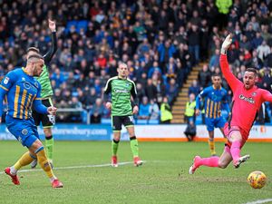 Supporting image for story: Shrewsbury analysis: Salop endure rare bad day at office