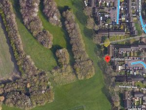 Supporting image for story: 'Very disturbing' death of a cat found in Wolverhampton woodland with a plastic bag tied around its head is being investigated by the RSPCA