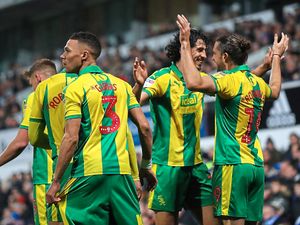 Supporting image for story: Comment: Entertainment and goals are the upside of West Brom going down