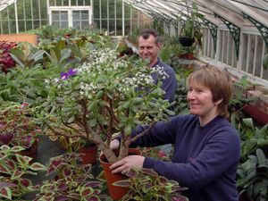 Supporting image for story: Flashback to 2005: Taste of the tropics on a winter’s day