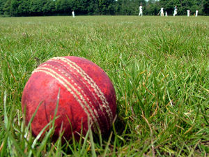 Supporting image for story: Grasshoppers seal indoor cricket league title