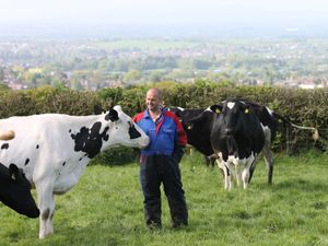 Supporting image for story: Midlands’ farming and food champions named in New Year Honours List