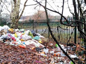 Supporting image for story: We need more litter patrols, say Walsall chiefs