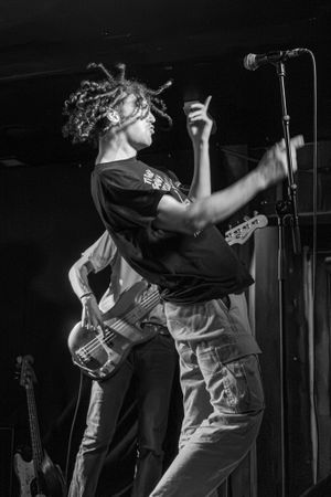 Headfeeder, Shrewsbury, Albert's Shed