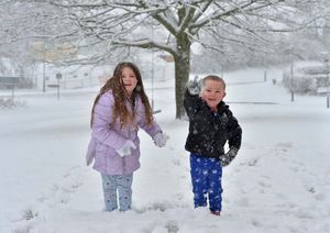 Snowballs in Hednesford
