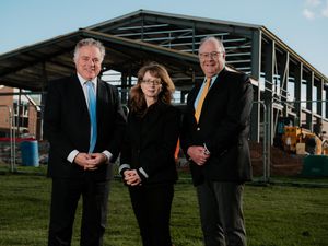 Supporting image for story: New theatre unveils new artistic director