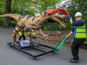 Supporting image for story: In Pictures: Giant animatronic predators arrive at Chester Zoo