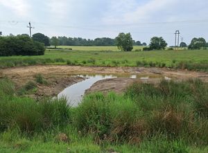 A small pond in the new wetland at Cruckmeole. Picture: Shropshire Council