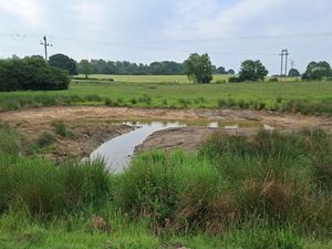 Supporting image for story: New wetland created at Shropshire farm in project to find nature-based solutions to tackle flooding