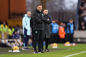 Supporting image for story: Wolves not compromising on tactics under Vitor Pereira