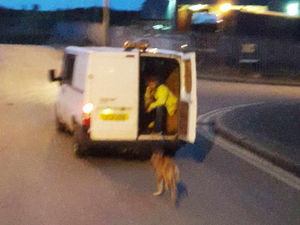 Supporting image for story: Shocking images show exhausted dog being dragged around Staffordshire industrial estate behind van