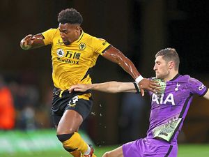 Supporting image for story: Wolves v Newcastle preview: Time for Wolves to kick on